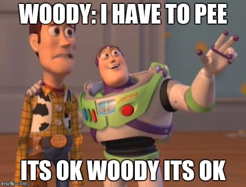 X, X Everywhere | WOODY: I HAVE TO PEE; ITS OK WOODY ITS OK | image tagged in memes,x x everywhere | made w/ Imgflip meme maker