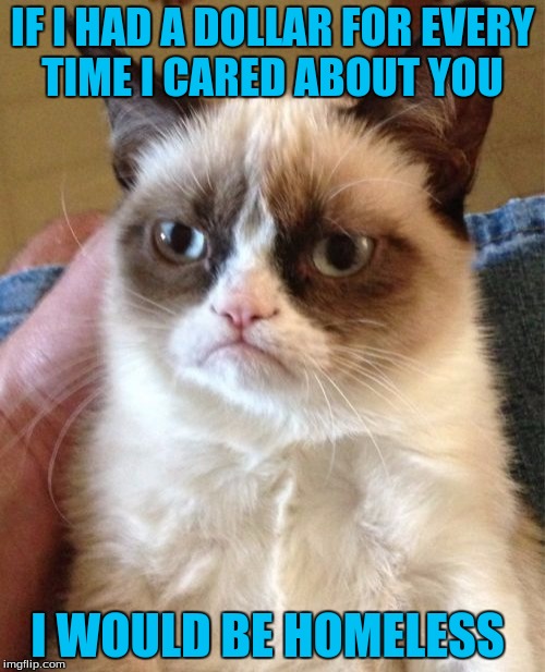 Grumpy Cat | IF I HAD A DOLLAR FOR EVERY TIME I CARED ABOUT YOU; I WOULD BE HOMELESS | image tagged in memes,grumpy cat | made w/ Imgflip meme maker