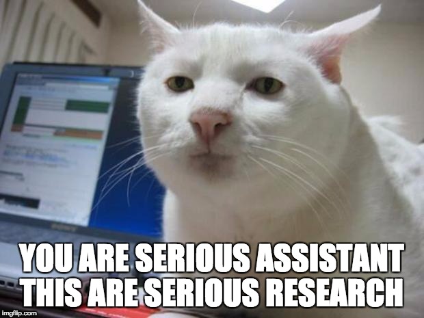 serious cat | YOU ARE SERIOUS ASSISTANT 
THIS ARE SERIOUS RESEARCH | image tagged in serious cat | made w/ Imgflip meme maker