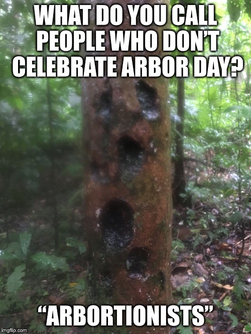 I actually had to look this up! | WHAT DO YOU CALL PEOPLE WHO DON’T CELEBRATE ARBOR DAY? “ARBORTIONISTS” | image tagged in tree face,abortion | made w/ Imgflip meme maker