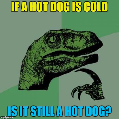 Hot or not? Vote now :) | IF A HOT DOG IS COLD; IS IT STILL A HOT DOG? | image tagged in memes,philosoraptor,hot dogs,food | made w/ Imgflip meme maker