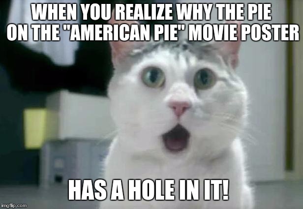 We get that it's an R-rated movie, but still. | WHEN YOU REALIZE WHY THE PIE ON THE "AMERICAN PIE" MOVIE POSTER; HAS A HOLE IN IT! | image tagged in memes,omg cat,american pie,movie poster,movies,wtf | made w/ Imgflip meme maker