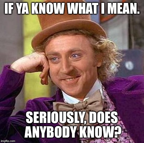 Creepy Condescending Wonka Meme | IF YA KNOW WHAT I MEAN. SERIOUSLY, DOES ANYBODY KNOW? | image tagged in memes,creepy condescending wonka | made w/ Imgflip meme maker