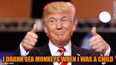 He totally did | I DRANK SEA MONKEYS WHEN I WAS A CHILD | image tagged in thumbs up trump,president slappy,sea monkeys | made w/ Imgflip meme maker