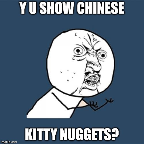 Y U No Meme | Y U SHOW CHINESE KITTY NUGGETS? | image tagged in memes,y u no | made w/ Imgflip meme maker