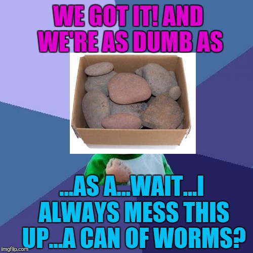 Success Kid Meme | WE GOT IT! AND WE'RE AS DUMB AS ...AS A...WAIT...I ALWAYS MESS THIS UP...A CAN OF WORMS? | image tagged in memes,success kid | made w/ Imgflip meme maker