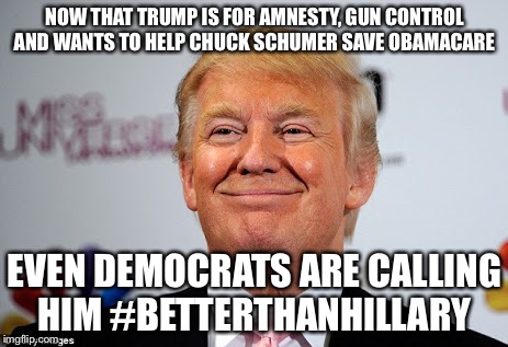 Donald trump approves | NOW THAT TRUMP IS FOR AMNESTY, GUN CONTROL AND WANTS TO HELP CHUCK SCHUMER SAVE OBAMACARE; EVEN DEMOCRATS ARE CALLING HIM #BETTERTHANHILLARY | image tagged in donald trump approves | made w/ Imgflip meme maker