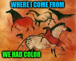 WHERE I COME FROM WE HAD COLOR | made w/ Imgflip meme maker