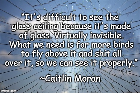 Glass Ceiling | “It's difficult to see the glass ceiling because it's made of glass. Virtually invisible. What we need is for more birds to fly above it and shit all over it, so we can see it properly.”; ~Caitlin Moran | image tagged in caitlin moran,feminism,humor,equal pay,equality,women | made w/ Imgflip meme maker