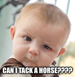 Skeptical Baby Meme | CAN I TACK A HORSE???? | image tagged in memes,skeptical baby | made w/ Imgflip meme maker