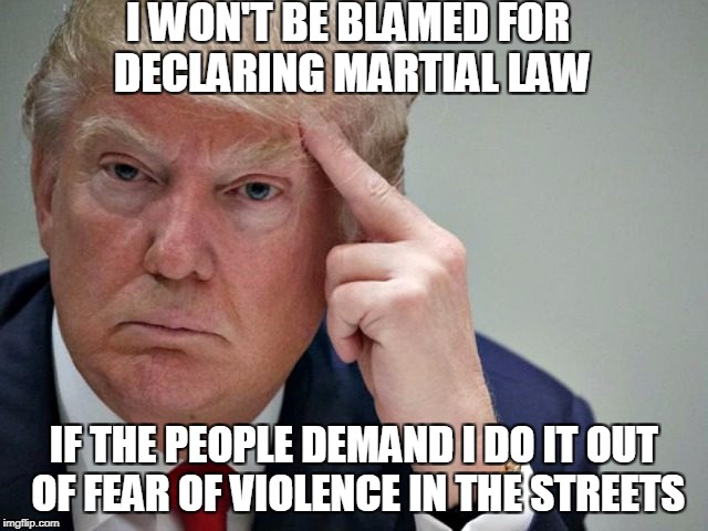 thinking trump | I WON'T BE BLAMED FOR DECLARING MARTIAL LAW IF THE PEOPLE DEMAND I DO IT OUT OF FEAR OF VIOLENCE IN THE STREETS | image tagged in thinking trump | made w/ Imgflip meme maker