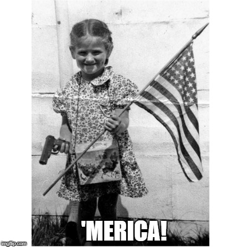 'MERICA! | 'MERICA! | image tagged in america,american flag,make america great again,2nd amendment | made w/ Imgflip meme maker