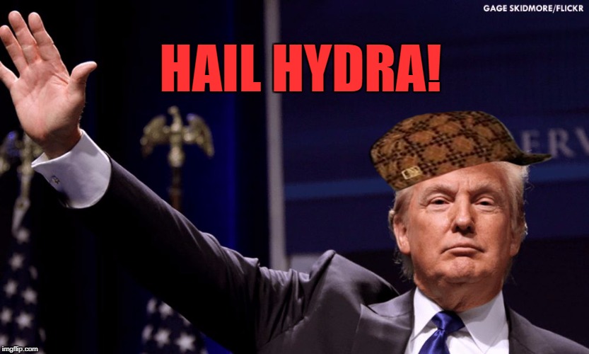 Hail Hydra | HAIL HYDRA! | image tagged in hail hydra,scumbag | made w/ Imgflip meme maker