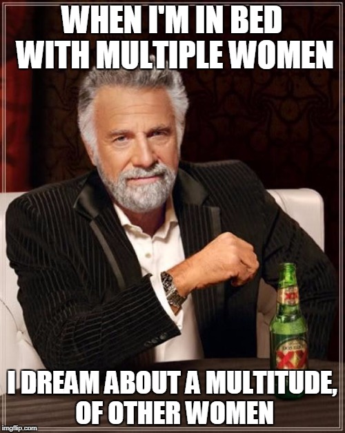 The Most Interesting Man In The World Meme | WHEN I'M IN BED WITH MULTIPLE WOMEN I DREAM ABOUT A MULTITUDE, OF OTHER WOMEN | image tagged in memes,the most interesting man in the world | made w/ Imgflip meme maker