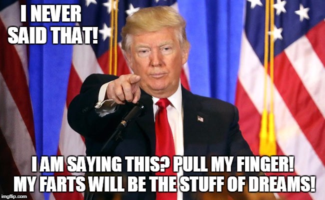 Fart Apart | I NEVER SAID THAT! I AM SAYING THIS? PULL MY FINGER! MY FARTS WILL BE THE STUFF OF DREAMS! | image tagged in trump fake news | made w/ Imgflip meme maker
