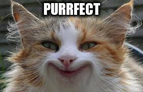 PURRFECT | made w/ Imgflip meme maker