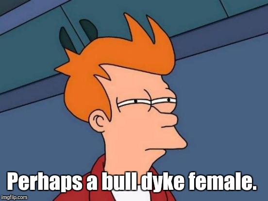 Futurama Fry Meme | Perhaps a bull dyke female. | image tagged in memes,futurama fry | made w/ Imgflip meme maker