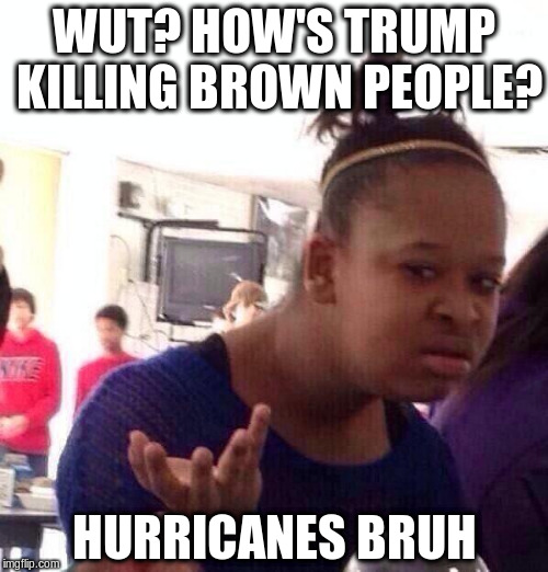 Logic | WUT? HOW'S TRUMP KILLING BROWN PEOPLE? HURRICANES BRUH | image tagged in memes,black girl wat,hurricane harvey,hurricane irma,trump,racism | made w/ Imgflip meme maker