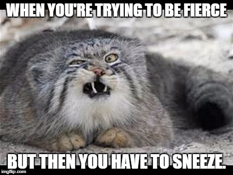 WHEN YOU'RE TRYING TO BE FIERCE; BUT THEN YOU HAVE TO SNEEZE. | image tagged in sneeze | made w/ Imgflip meme maker