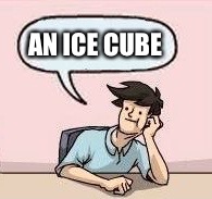 AN ICE CUBE | made w/ Imgflip meme maker