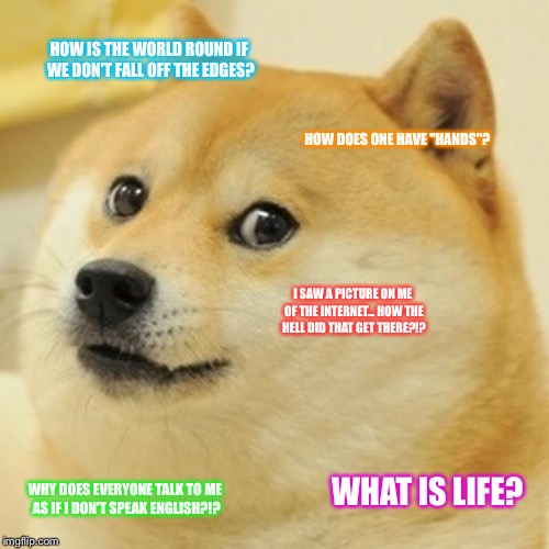 Questions doge asks himself | HOW IS THE WORLD ROUND IF WE DON'T FALL OFF THE EDGES? HOW DOES ONE HAVE "HANDS"? I SAW A PICTURE ON ME OF THE INTERNET... HOW THE HELL DID THAT GET THERE?!? WHAT IS LIFE? WHY DOES EVERYONE TALK TO ME AS IF I DON'T SPEAK ENGLISH?!? | image tagged in memes,doge | made w/ Imgflip meme maker