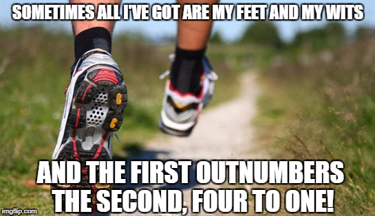 That would make my wit only half -- get it? | SOMETIMES ALL I'VE GOT ARE MY FEET AND MY WITS; AND THE FIRST OUTNUMBERS THE SECOND, FOUR TO ONE! | image tagged in runner's soles | made w/ Imgflip meme maker