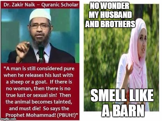 NO WONDER MY HUSBAND AND BROTHERS SMELL LIKE A BARN | made w/ Imgflip meme maker