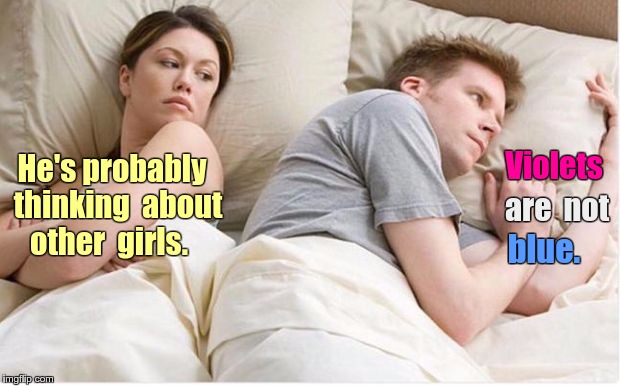 Girls' thoughts ... Guys' thoughts | Violets; He's probably  thinking  about  other  girls. are  not; blue. | image tagged in thinking about other girls,memes,guys,girls be like | made w/ Imgflip meme maker