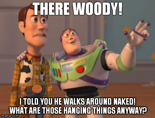 X, X Everywhere | THERE WOODY! I TOLD YOU HE WALKS AROUND NAKED! WHAT ARE THOSE HANGING THINGS ANYWAY? | image tagged in memes,x x everywhere | made w/ Imgflip meme maker