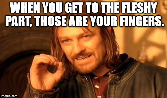 One Does Not Simply Meme | WHEN YOU GET TO THE FLESHY PART, THOSE ARE YOUR FINGERS. | image tagged in memes,one does not simply | made w/ Imgflip meme maker