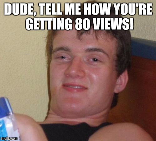 10 Guy Meme | DUDE, TELL ME HOW YOU'RE GETTING 80 VIEWS! | image tagged in memes,10 guy | made w/ Imgflip meme maker