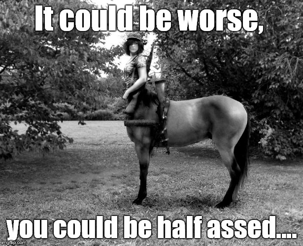 Centaur Soldier | It could be worse, you could be half assed.... | image tagged in centaur soldier | made w/ Imgflip meme maker