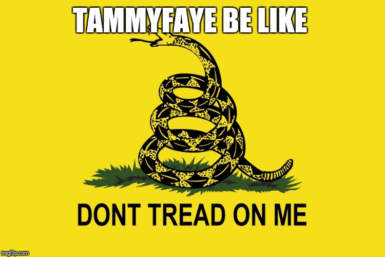 TAMMYFAYE BE LIKE | made w/ Imgflip meme maker