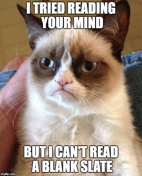 Grumpy Cat Meme | I TRIED READING YOUR MIND; BUT I CAN'T READ A BLANK SLATE | image tagged in memes,grumpy cat | made w/ Imgflip meme maker
