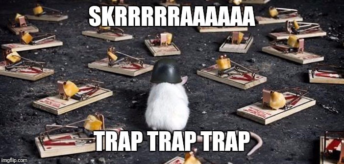 mine minefield trap cheese mouse | SKRRRRRAAAAAA; TRAP TRAP TRAP | image tagged in mine minefield trap cheese mouse | made w/ Imgflip meme maker