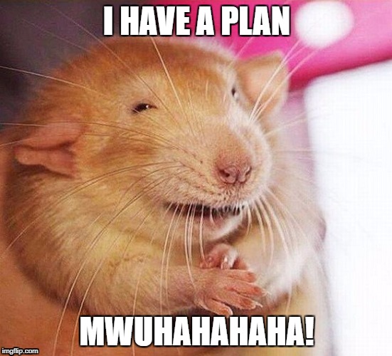 I have a plan | I HAVE A PLAN; MWUHAHAHAHA! | image tagged in evil rat,i have a plan,mwuhahahahaha | made w/ Imgflip meme maker