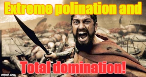 Don't join the Flower Parade unless you have... | Extreme polination and; Total domination! | image tagged in memes,sparta leonidas,flowers,domination,polination,funny | made w/ Imgflip meme maker