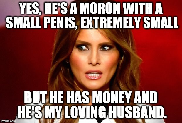 Melania trump  | YES, HE'S A MORON WITH A SMALL PENIS, EXTREMELY SMALL; BUT HE HAS MONEY AND HE'S MY LOVING HUSBAND. | image tagged in melania trump | made w/ Imgflip meme maker