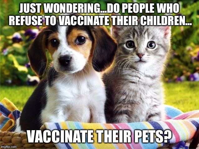 JUST WONDERING...DO PEOPLE WHO REFUSE TO VACCINATE THEIR CHILDREN... VACCINATE THEIR PETS? | image tagged in memes | made w/ Imgflip meme maker