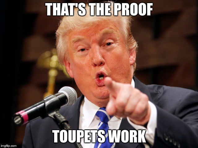 Trump You! | THAT'S THE PROOF TOUPETS WORK | image tagged in trump you | made w/ Imgflip meme maker