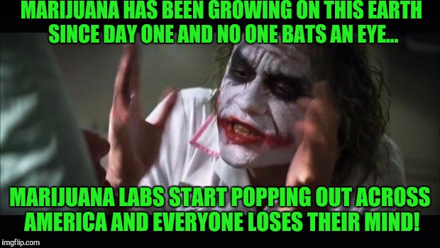 And everybody loses their minds | MARIJUANA HAS BEEN GROWING ON THIS EARTH SINCE DAY ONE AND NO ONE BATS AN EYE... MARIJUANA LABS START POPPING OUT ACROSS AMERICA AND EVERYONE LOSES THEIR MIND! | image tagged in memes,and everybody loses their minds | made w/ Imgflip meme maker