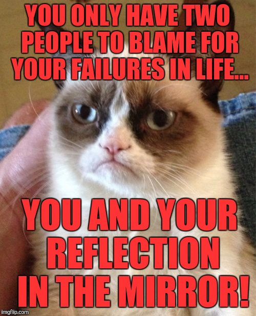 Grumpy Cat Meme | YOU ONLY HAVE TWO PEOPLE TO BLAME FOR YOUR FAILURES IN LIFE... YOU AND YOUR REFLECTION IN THE MIRROR! | image tagged in memes,grumpy cat | made w/ Imgflip meme maker