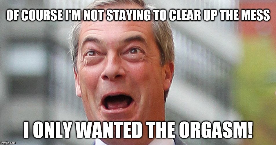 FARAGE COMES THEN GOES | OF COURSE I'M NOT STAYING TO CLEAR UP THE MESS; I ONLY WANTED THE ORGASM! | image tagged in brexit,nigel farage,farage | made w/ Imgflip meme maker