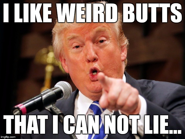 Trump You! | I LIKE WEIRD BUTTS THAT I CAN NOT LIE… | image tagged in trump you | made w/ Imgflip meme maker