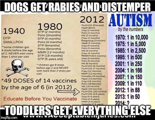 Autism |  DOGS GET RABIES AND DISTEMPER; TODDLERS GET EVERYTHING ELSE | image tagged in autism | made w/ Imgflip meme maker