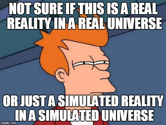 Futurama Fry Meme | NOT SURE IF THIS IS A REAL REALITY IN A REAL UNIVERSE; OR JUST A SIMULATED REALITY IN A SIMULATED UNIVERSE | image tagged in memes,futurama fry | made w/ Imgflip meme maker