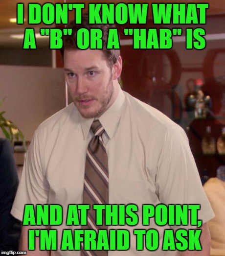 I DON'T KNOW WHAT A "B" OR A "HAB" IS AND AT THIS POINT, I'M AFRAID TO ASK | made w/ Imgflip meme maker