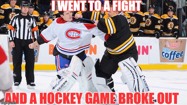 I WENT TO A FIGHT AND A HOCKEY GAME BROKE OUT | made w/ Imgflip meme maker