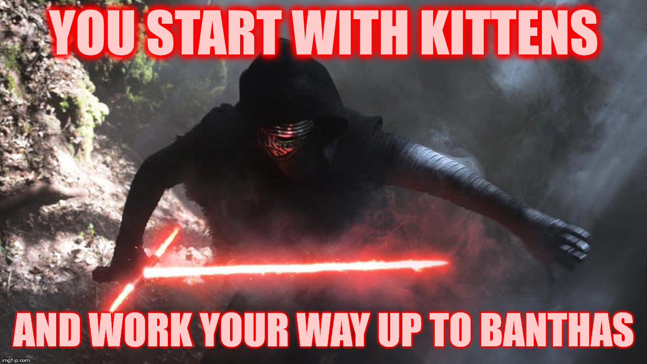 YOU START WITH KITTENS AND WORK YOUR WAY UP TO BANTHAS | made w/ Imgflip meme maker