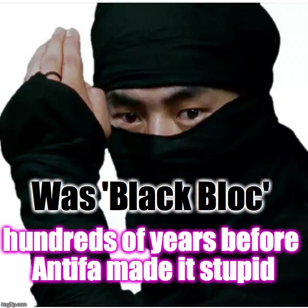 ninja | Was 'Black Bloc'; hundreds of years before Antifa made it stupid | image tagged in ninja | made w/ Imgflip meme maker
